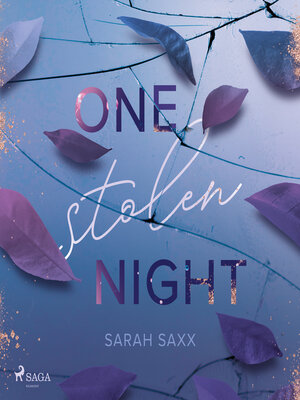cover image of One Stolen Night